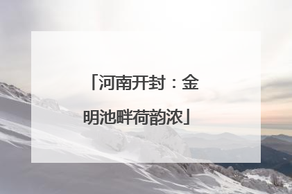 河南开封：金明池畔荷韵浓