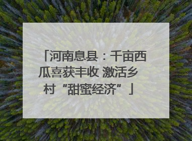 河南息县：千亩西瓜喜获丰收 激活乡村“甜蜜经济”