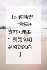 河南新野：“党建+支客+理事”引领文明乡风新风尚