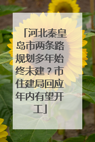 河北秦皇岛市两条路规划多年始终未建？市住建局回应年内有望开工