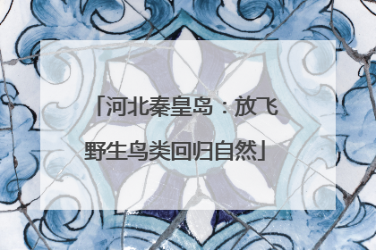 河北秦皇岛：放飞野生鸟类回归自然