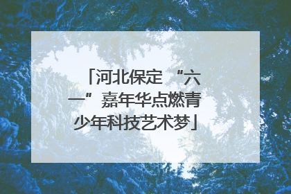 河北保定 “六一”嘉年华点燃青少年科技艺术梦