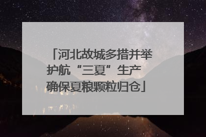河北故城多措并举护航“三夏”生产 确保夏粮颗粒归仓