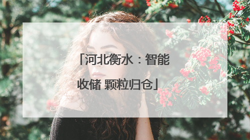河北衡水：智能收储 颗粒归仓