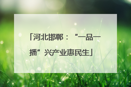 河北邯郸：“一品一播”兴产业惠民生