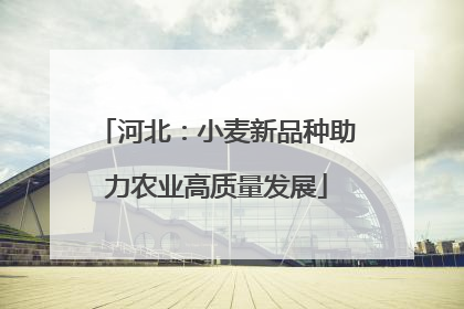 河北：小麦新品种助力农业高质量发展