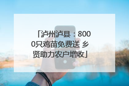 泸州泸县：8000只鸡苗免费送 乡贤助力农户增收