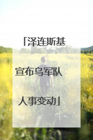 泽连斯基宣布乌军队人事变动