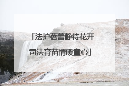 法护蓓蕾静待花开 司法育苗情暖童心