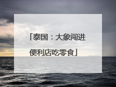 泰国：大象闯进便利店吃零食