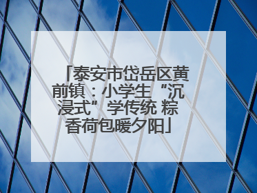 泰安市岱岳区黄前镇：小学生“沉浸式”学传统 粽香荷包暖夕阳