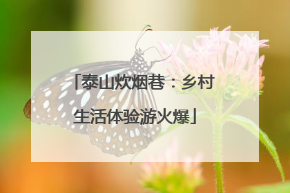 泰山炊烟巷：乡村生活体验游火爆