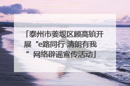 泰州市姜堰区顾高镇开展“e路同行 清朗有我”网络辟谣宣传活动