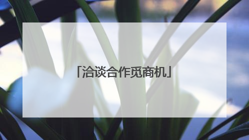 洽谈合作觅商机