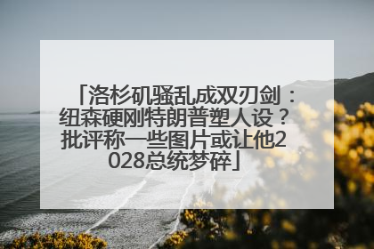 洛杉矶骚乱成双刃剑：纽森硬刚特朗普塑人设？批评称一些图片或让他2028总统梦碎