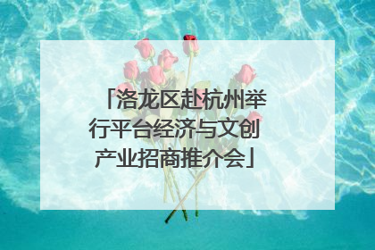 洛龙区赴杭州举行平台经济与文创产业招商推介会