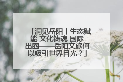 洞见岳阳丨生态赋能 文化铸魂 国际出圈——岳阳文旅何以吸引世界目光？