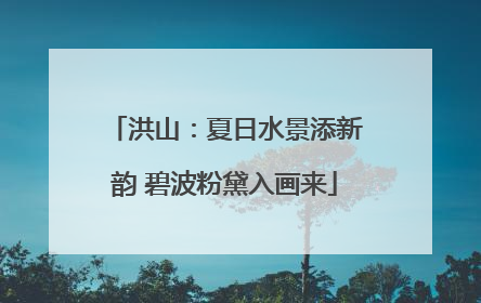 洪山：夏日水景添新韵 碧波粉黛入画来