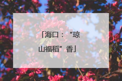 海口：“琼山福稻”香