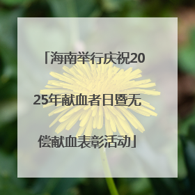 海南举行庆祝2025年献血者日暨无偿献血表彰活动