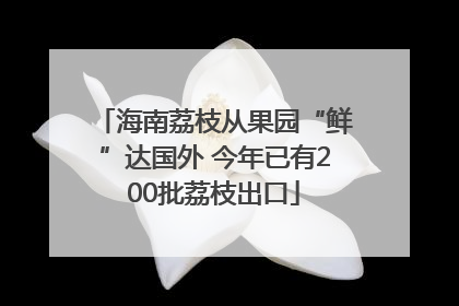 海南荔枝从果园“鲜”达国外 今年已有200批荔枝出口