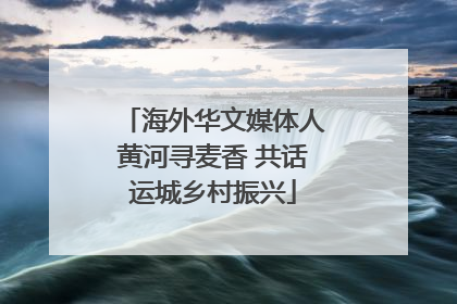 海外华文媒体人黄河寻麦香 共话运城乡村振兴