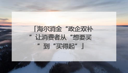 海尔消金“政企双补”让消费者从“想要买”到“买得起”