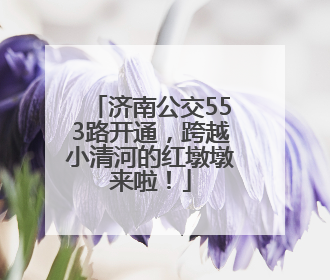 济南公交553路开通，跨越小清河的红墩墩来啦！