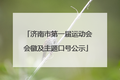 济南市第一届运动会会徽及主题口号公示