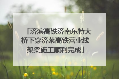 济滨高铁济南东特大桥下穿济莱高铁营业线架梁施工顺利完成