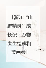 浙江“山野精灵”成长记：万物共生绘就和美画卷