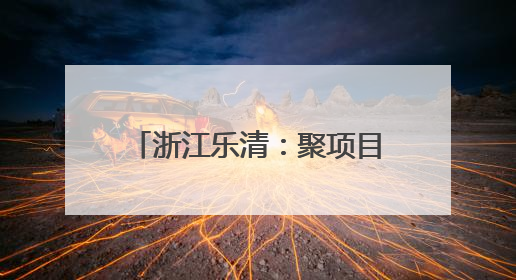 浙江乐清：聚项目吹“新”风 “海边小镇”成“热土”