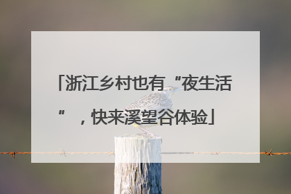 浙江乡村也有“夜生活”，快来溪望谷体验