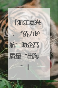 浙江嘉兴：“侨力护航”助企高质量“出海”