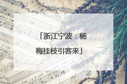 浙江宁波：杨梅挂枝引客来