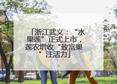 浙江武义：“水果莲”正式上市，莲农增收“致富果”注活力