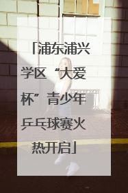 浦东浦兴学区“大爱杯”青少年乒乓球赛火热开启