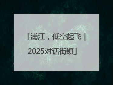 浦江，低空起飞｜2025对话街镇