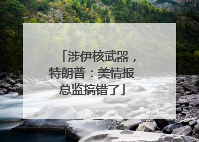 涉伊核武器，特朗普：美情报总监搞错了