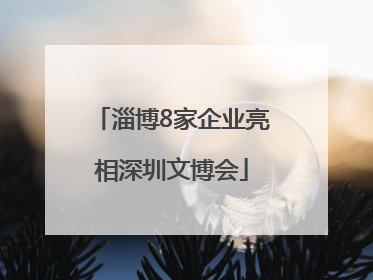 淄博8家企业亮相深圳文博会