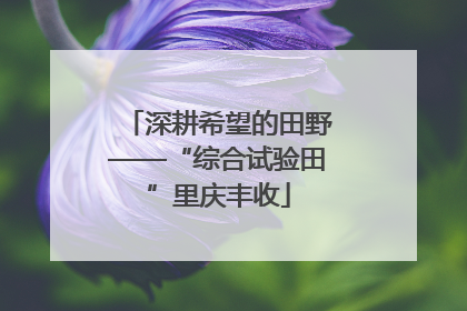 深耕希望的田野——“综合试验田”里庆丰收
