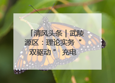 清风头条｜武陵源区：理论实务“双驱动 ” 充电赋能“增才干”