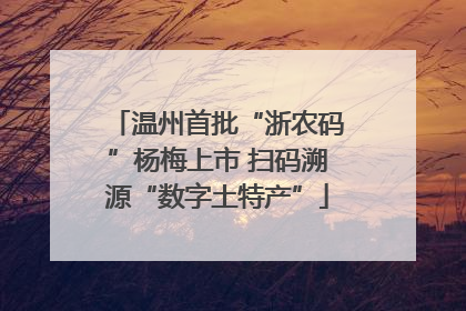 温州首批“浙农码”杨梅上市 扫码溯源“数字土特产”