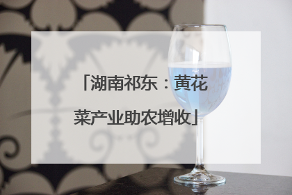 湖南祁东：黄花菜产业助农增收