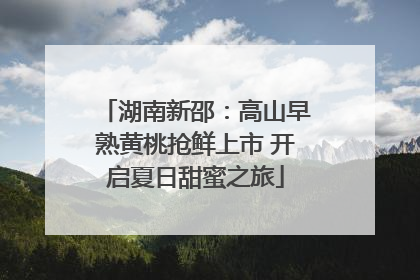 湖南新邵：高山早熟黄桃抢鲜上市 开启夏日甜蜜之旅