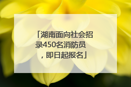 湖南面向社会招录450名消防员，即日起报名