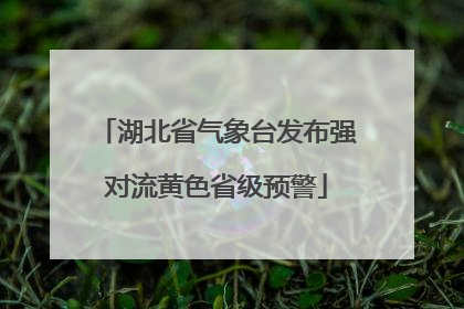 湖北省气象台发布强对流黄色省级预警