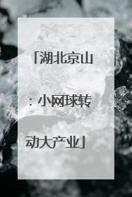 湖北京山：小网球转动大产业