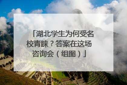 湖北学生为何受名校青睐？答案在这场咨询会（组图）
