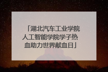 湖北汽车工业学院人工智能学院学子热血助力世界献血日